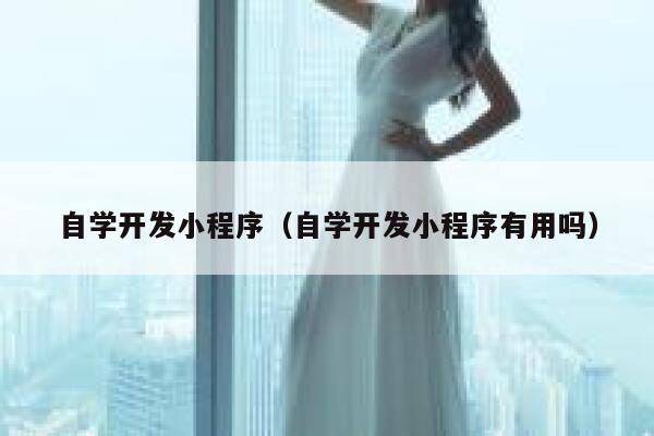 自学开发小程序（自学开发小程序有用吗） 第1张
