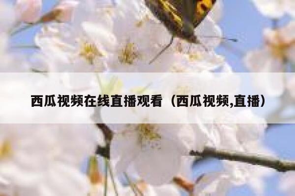 西瓜视频在线直播观看（西瓜视频,直播） 第1张