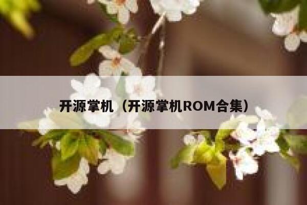 开源掌机(开源掌机ROM合集) 第1张 开源掌机(开源掌机ROM合集) 第1张