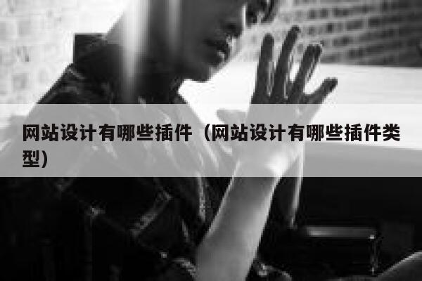 网站设计有哪些插件（网站设计有哪些插件类型） 第1张