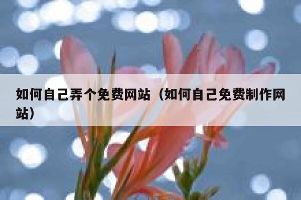 如何自己弄个免费网站（如何自己免费制作网站） 第1张