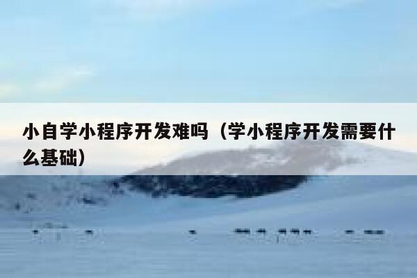小自学小程序开发难吗(学小程序开发需要什么基础) 第1张 小自学小程序开发难吗(学小程序开发需要什么基础) 第1张