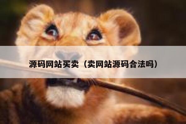 源码网站买卖(卖网站源码合法吗) 第1张 源码网站买卖(卖网站源码合法吗) 第1张