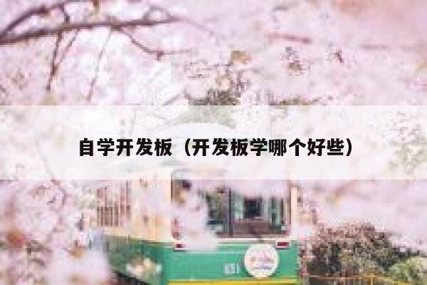 自学开发板（开发板学哪个好些） 第1张