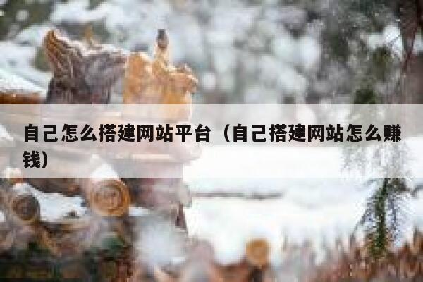 自己怎么搭建网站平台（自己搭建网站怎么赚钱） 第1张