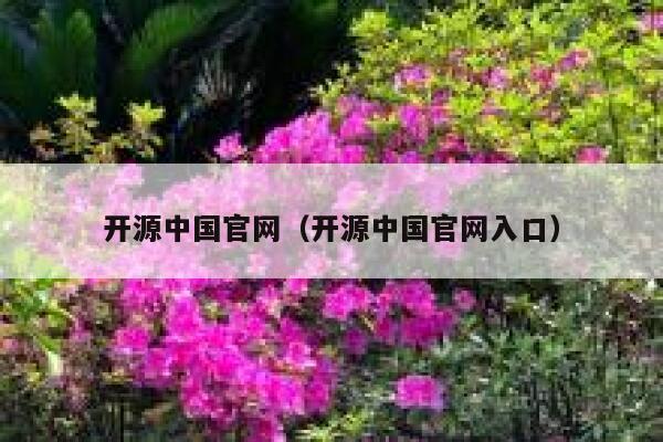 开源中国官网（开源中国官网入口） 第1张