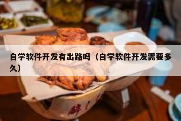 自学软件开发有出路吗（自学软件开发需要多久） 第1张