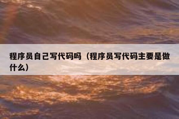 程序员自己写代码吗(程序员写代码主要是做什么) 第1张 程序员自己写代码吗(程序员写代码主要是做什么) 第1张