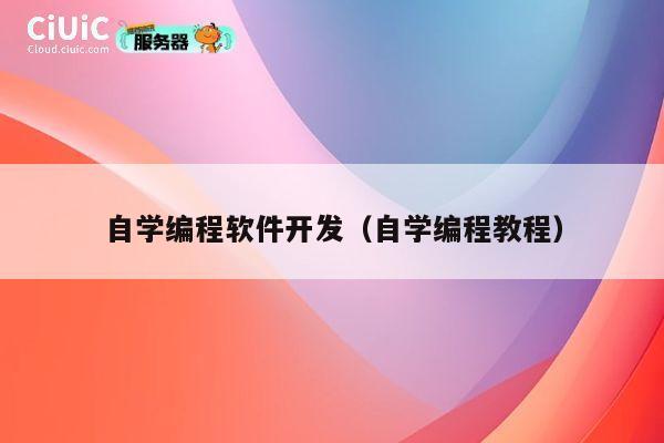 自学编程软件开发（自学编程教程） 第1张