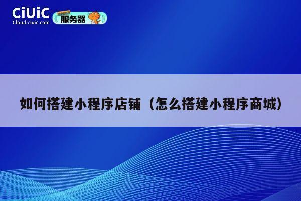 如何搭建小程序店铺(怎么搭建小程序商城) 第1张 如何搭建小程序店铺(怎么搭建小程序商城) 第1张