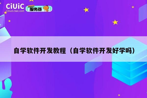 自学软件开发教程(自学软件开发好学吗) 第1张 自学软件开发教程(自学软件开发好学吗) 第1张